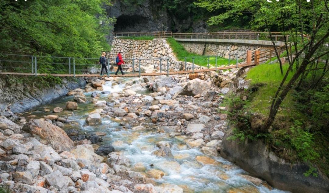 Apartma Jelendol Tržič المظهر الخارجي الصورة